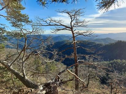 Les Boutières Les Boutières