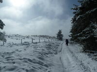 Trangévadanne 1 Trangévadanne 1